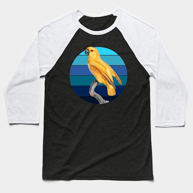 Senegal parrot Retro sunset Baseball T-Shirt by Geoji 